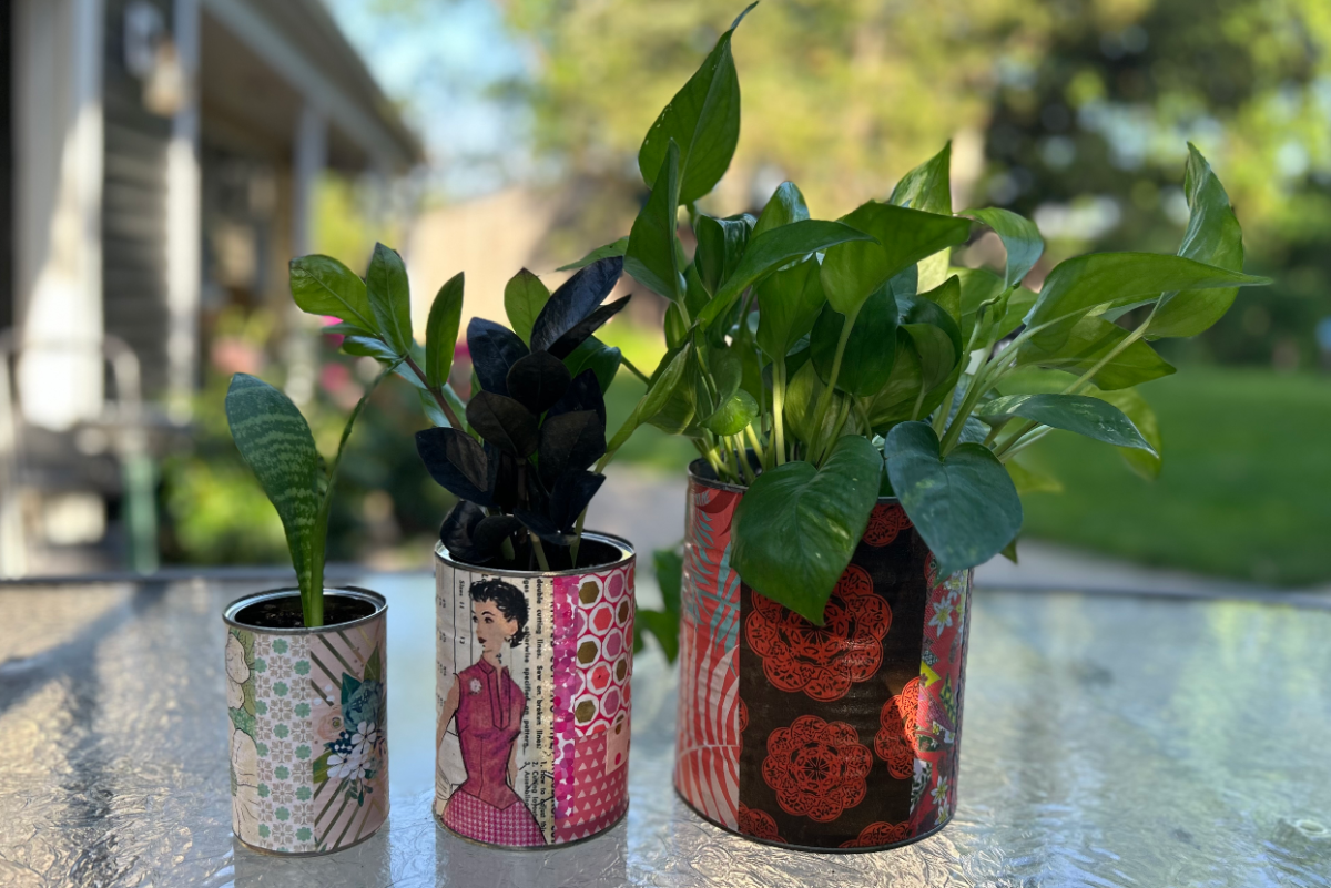 3 tin cans with plants planted in them increasing in size from left to right. Each one is covered in different colored and patterned decoupage designs